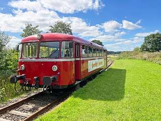 Roter Schienenbus im Grünen