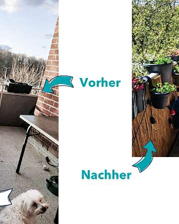 NAH SH erleben 2021 Balkon Challenge Gewinner 02