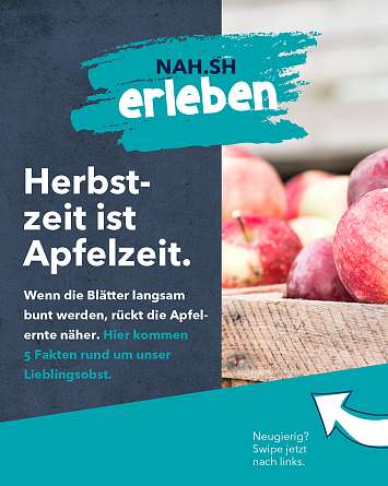 NAH SH erleben 2021 aepfel 01