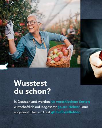 NAH SH erleben 2021 aepfel 04