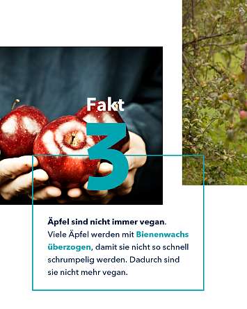 NAH SH erleben 2021 aepfel 05