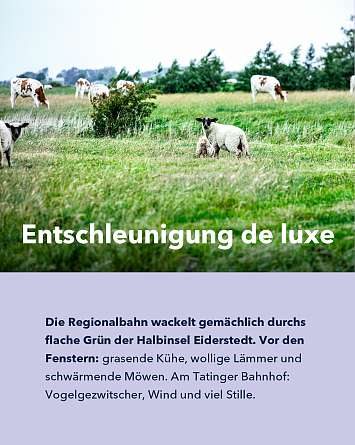 NAH SH erleben 2021 Unter den Linden 02