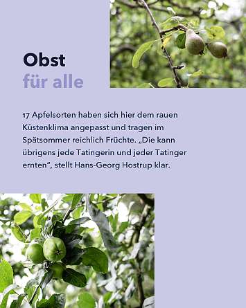 NAH SH erleben 2021 eiderstedt 08