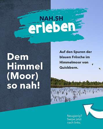 NAH SH erleben 2021 himmelsmoor 01