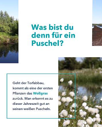 NAH SH erleben 2021 himmelsmoor 05