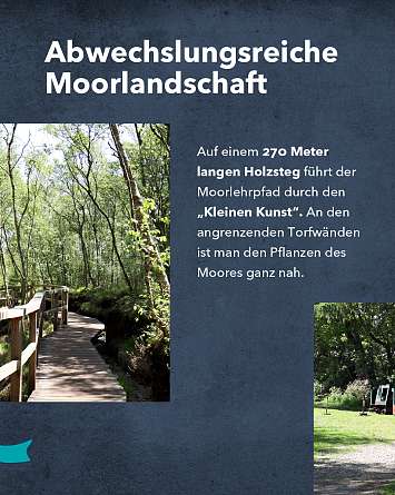 NAH SH erleben 2021 himmelsmoor 07