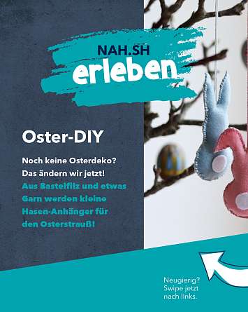 NAH SH erleben 2021 oster DIY 01
