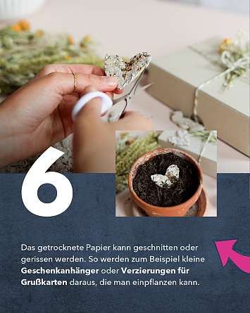 NAH SH erleben 2021 saatgutpapier 08