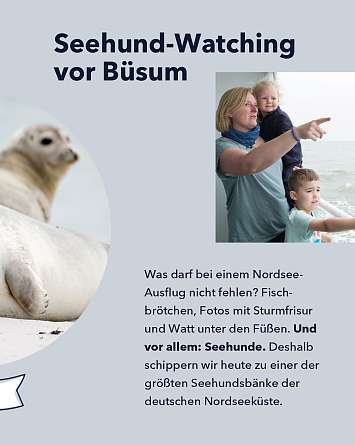 NAH SH erleben 2021 seehund watching 02