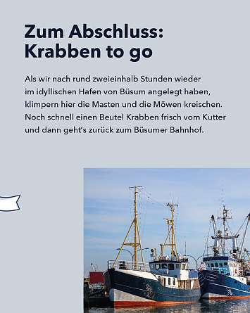 NAH SH erleben 2021 seehund watching 07