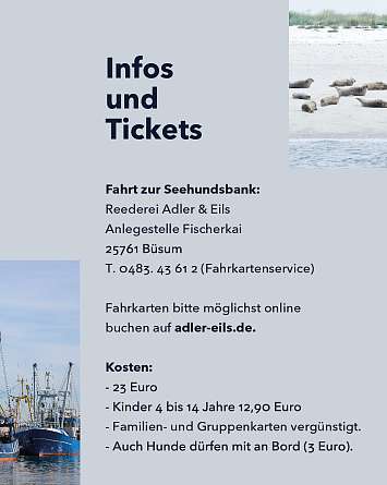 NAH SH erleben 2021 seehund watching 08