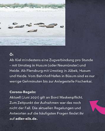 NAH SH erleben 2021 seehund watching 09