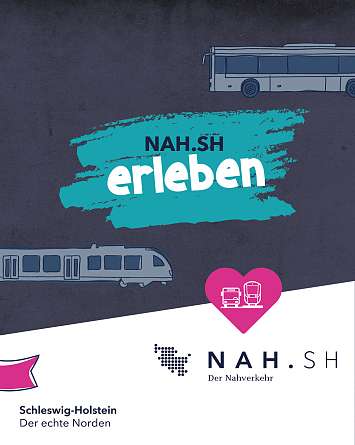 NAH SH erleben 2021 seehund watching 10