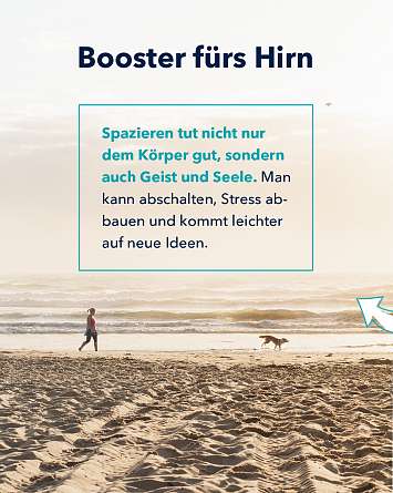 nahsh erleben 2022 spazieren 03