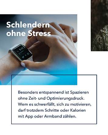 nahsh erleben 2022 spazieren 05