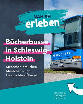 nahsh karussell 1080x1350 buecherbusse 1