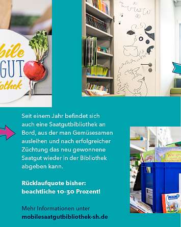 nahsh karussell 1080x1350 buecherbusse 7