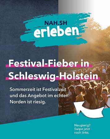 nahsh karussell 1080x1350 erleben festivals 01