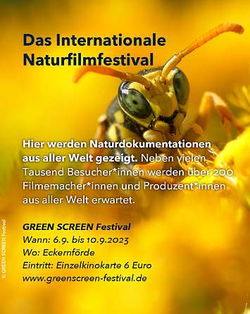 nahsh karussell 1080x1350 erleben festivals 06