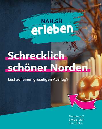 nahsh karussell 1080x1350 erleben mystisches sh final IG 01