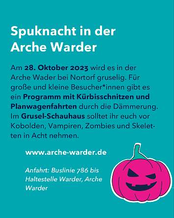 nahsh karussell 1080x1350 erleben mystisches sh final IG 04