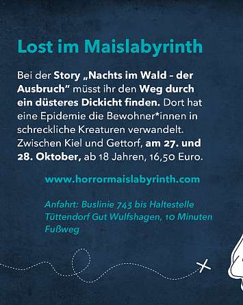 nahsh karussell 1080x1350 erleben mystisches sh final IG 05