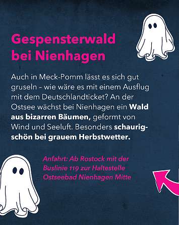 nahsh karussell 1080x1350 erleben mystisches sh final IG 06 v2