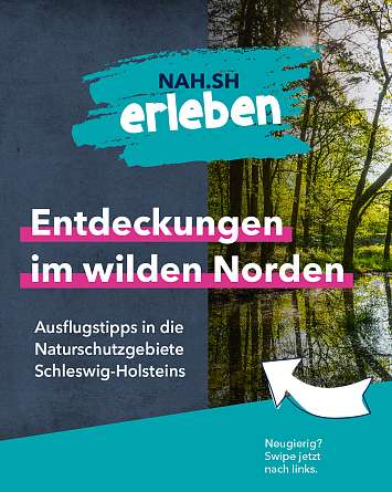 nahsh karussell 1080x1350 erleben naturschutzgebiete final IG a