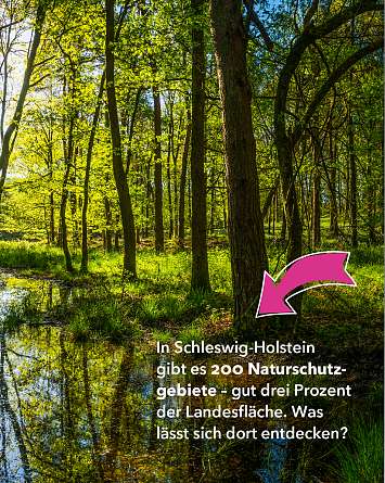 nahsh karussell 1080x1350 erleben naturschutzgebiete final IG b