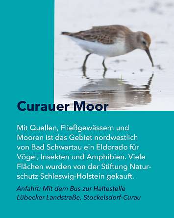 nahsh karussell 1080x1350 erleben naturschutzgebiete final IG c