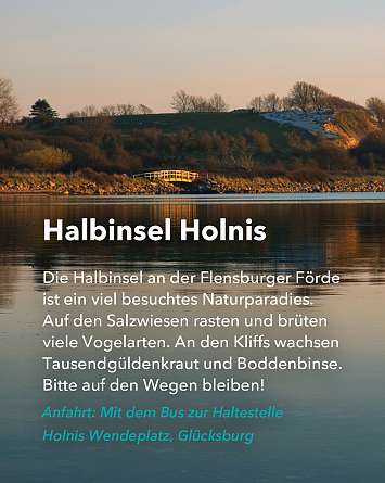 nahsh karussell 1080x1350 erleben naturschutzgebiete final IG e