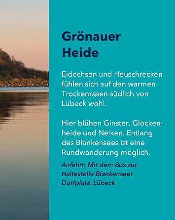 nahsh karussell 1080x1350 erleben naturschutzgebiete final IG f