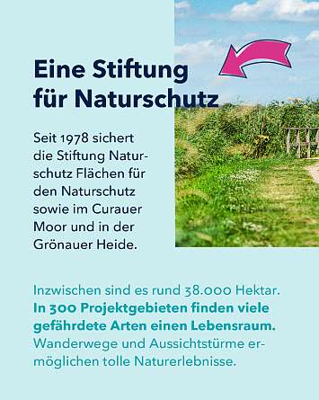 nahsh karussell 1080x1350 erleben naturschutzgebiete final IG g