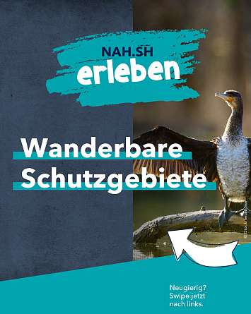 nahsh karussell 1080x1350 erleben naturschutzgebiete final ig 1