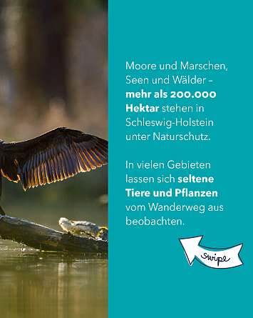 nahsh karussell 1080x1350 erleben naturschutzgebiete final ig 2