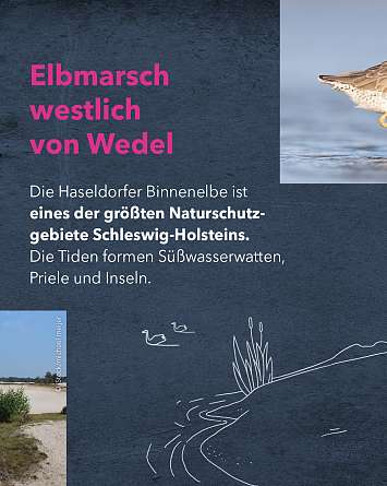 nahsh karussell 1080x1350 erleben naturschutzgebiete final ig 4