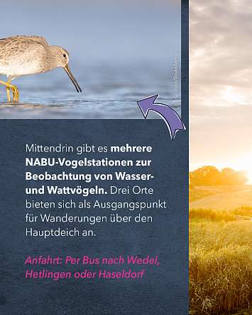 nahsh karussell 1080x1350 erleben naturschutzgebiete final ig 5