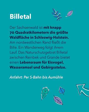 nahsh karussell 1080x1350 erleben naturschutzgebiete final ig 7