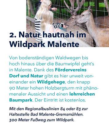 nahsh karussell 1080x1350 erleben osterspaziergaenge 03