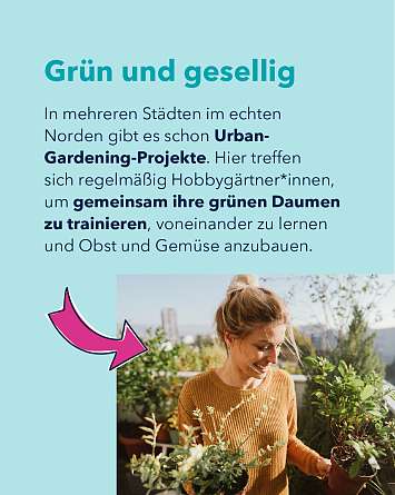 nahsh karussell 1080x1350 erleben urban gardening final IG 02