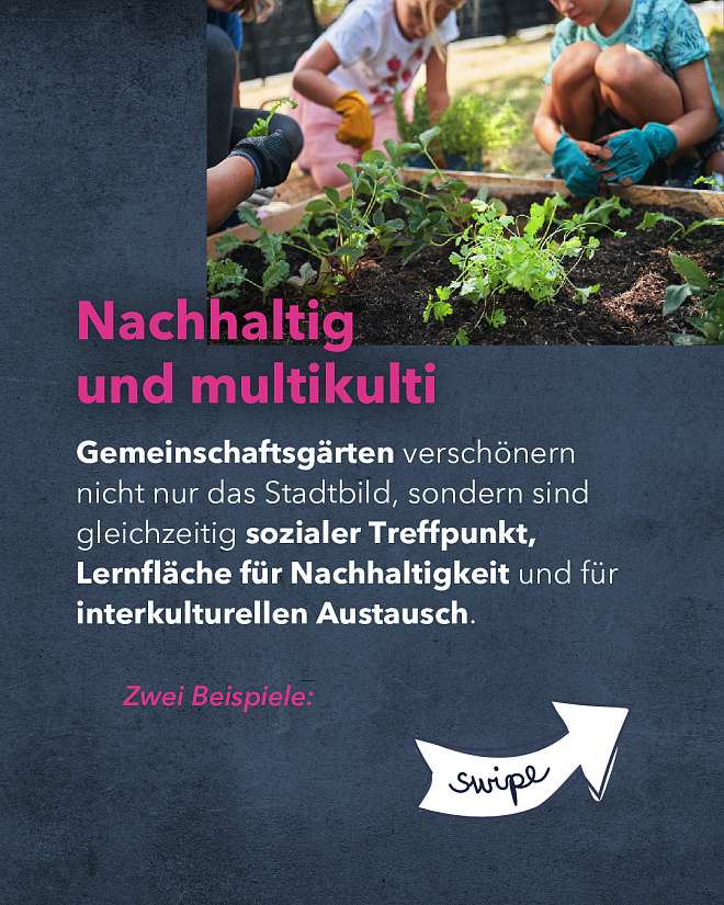 Gärtnern in der Stadt NAH.SH