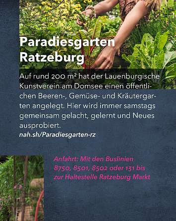 nahsh karussell 1080x1350 erleben urban gardening final IG 05