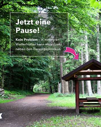 nahsh karussell 1080x1350 erleben wildgehege hammer 08