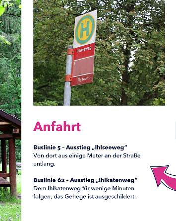 nahsh karussell 1080x1350 erleben wildgehege hammer 09