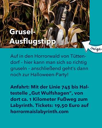 nahsh karussell 1080x1350 grusel 04