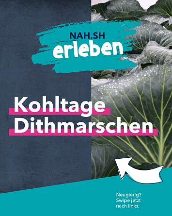 nahsh karussell 1080x1350 kohltage 01