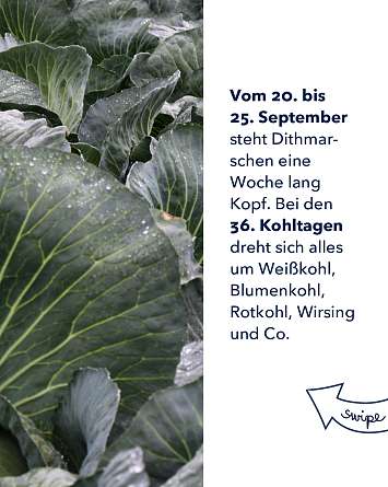 nahsh karussell 1080x1350 kohltage 02