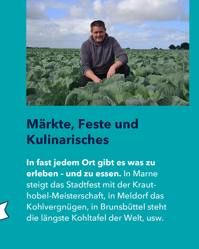 Kohltage Dithmarschen | NAH.SH