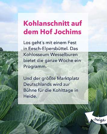 nahsh karussell 1080x1350 kohltage 04