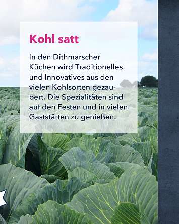 nahsh karussell 1080x1350 kohltage 05